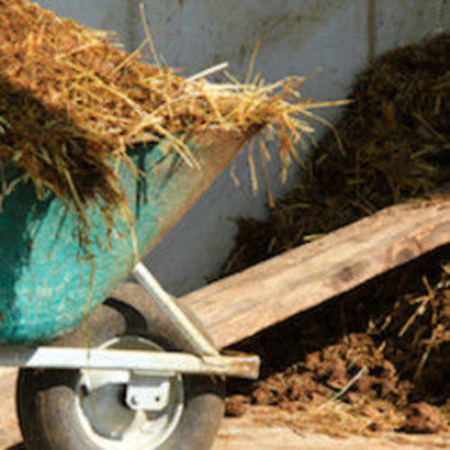 Mitarbeiter gesucht? (Anzeige)