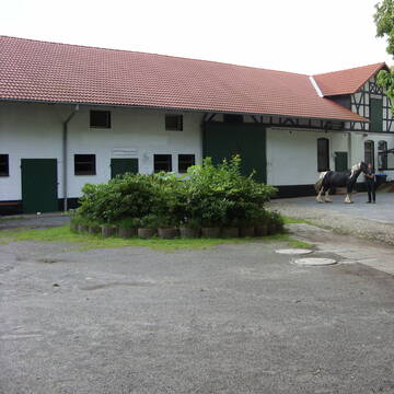 Bild: Stall in  Wienhausen