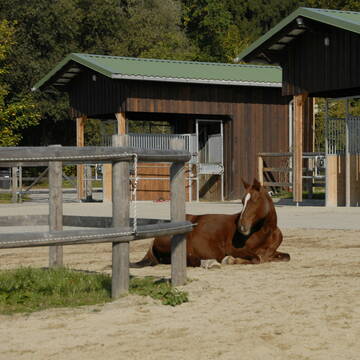 unser toller HIT AKTIV Stall