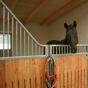 Die Wohlfühlboxen mit großem Paddock!!!