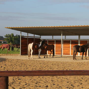 Bild: Stall in  Hüls