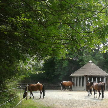Bild: Stall in  Goslar