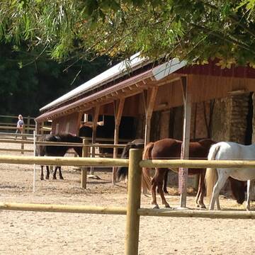Bild: Stall in  Nottuln