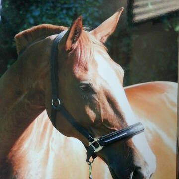 Bild: Service in  Bochum