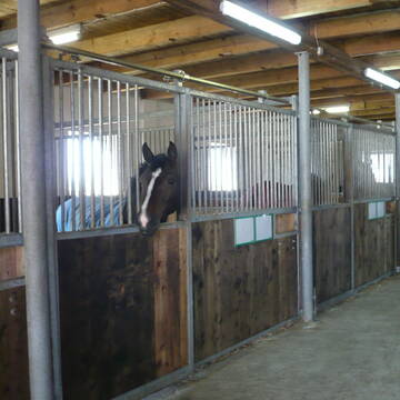 der kleine Reitstall