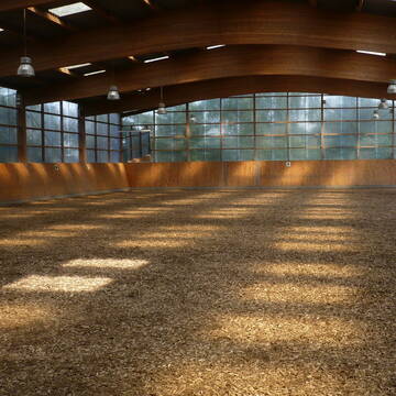 die Reithalle
