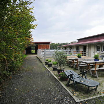 Terasse/Reiterstübchen + Boxen mit Auslauf