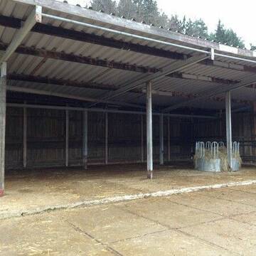 Bild: Weide in  Boppard