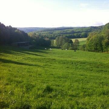 Peterhof: Winter-Weide direkt am Offenstall