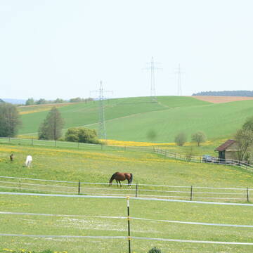Bild: Stall in  Edelsfeld