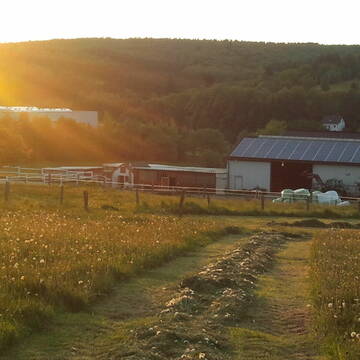 Bild: Stall in  Wasserscheide