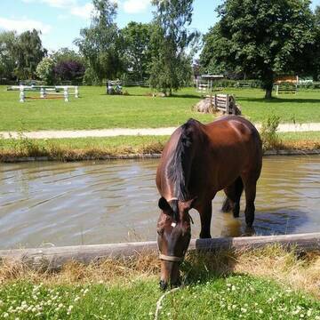 Bild: Stall in  Neuschönberg