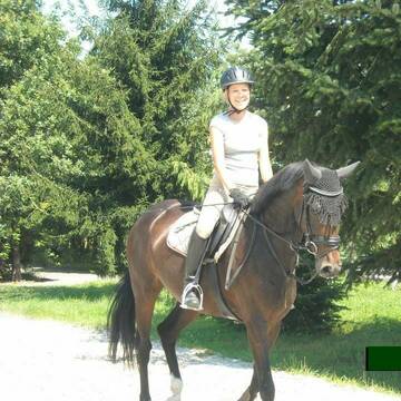 Bild: Service in  Buchheim