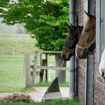 Bild: Stall in  Waltrop