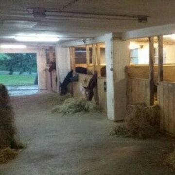 einer von 3 Boxentrakten