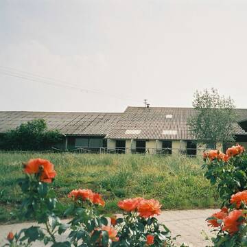 Bild: Stall in  Leonberg