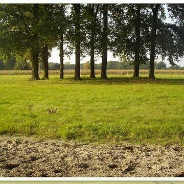 Bild: Stall in  Steinhagen