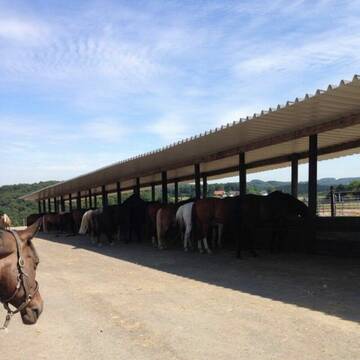 Bild: Stall in  Overath