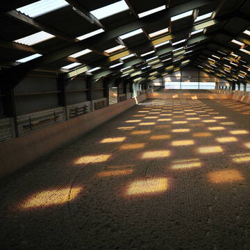 Bild: Stall in  Frechen