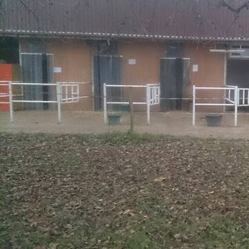 Außenbox mit Paddock